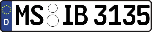 MS-IB3135