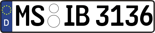 MS-IB3136