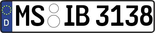 MS-IB3138