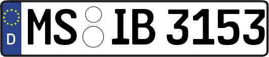 MS-IB3153