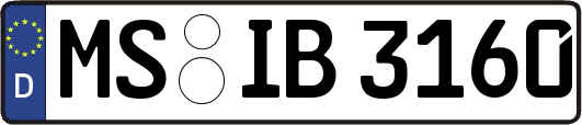 MS-IB3160