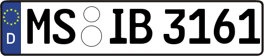MS-IB3161