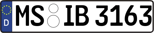 MS-IB3163