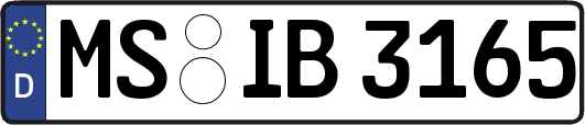 MS-IB3165