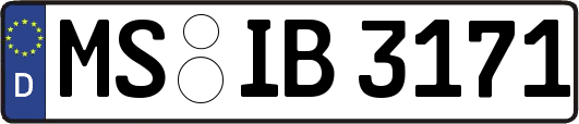 MS-IB3171