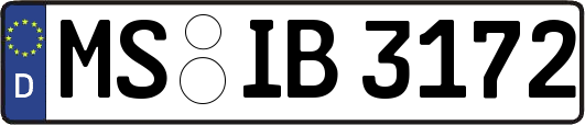 MS-IB3172