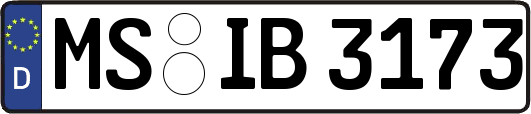 MS-IB3173