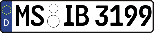 MS-IB3199