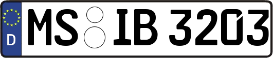 MS-IB3203