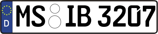 MS-IB3207