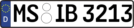 MS-IB3213