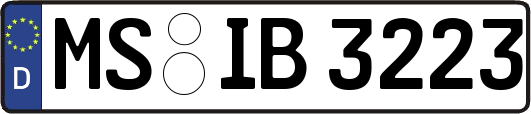 MS-IB3223