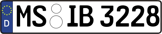 MS-IB3228