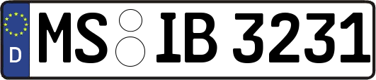 MS-IB3231