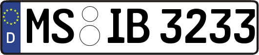 MS-IB3233