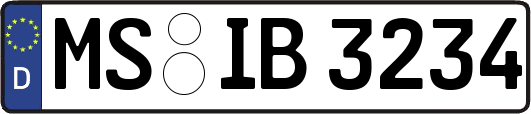 MS-IB3234