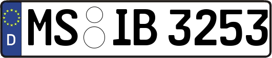 MS-IB3253