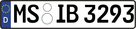 MS-IB3293