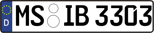 MS-IB3303
