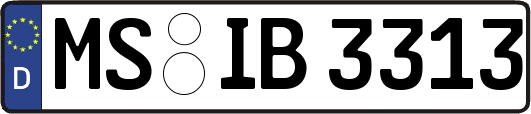 MS-IB3313