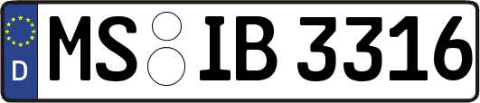 MS-IB3316