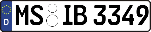 MS-IB3349