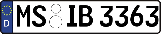 MS-IB3363