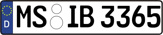 MS-IB3365
