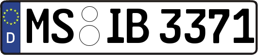 MS-IB3371