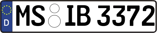 MS-IB3372
