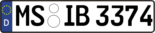 MS-IB3374