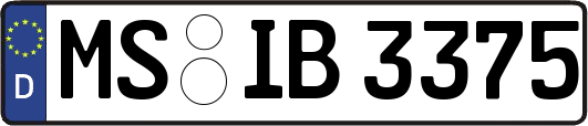 MS-IB3375