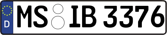 MS-IB3376
