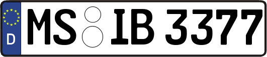 MS-IB3377