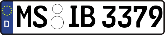 MS-IB3379