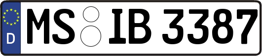 MS-IB3387