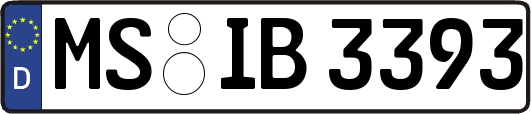 MS-IB3393
