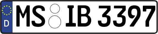 MS-IB3397