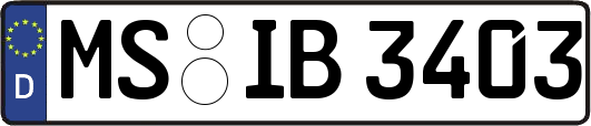 MS-IB3403