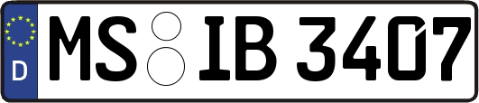 MS-IB3407
