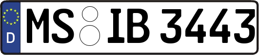 MS-IB3443