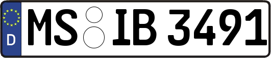 MS-IB3491