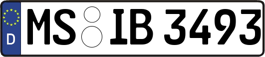 MS-IB3493