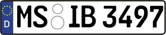 MS-IB3497