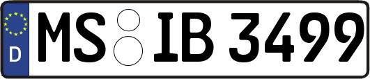 MS-IB3499