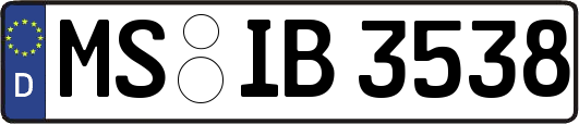 MS-IB3538