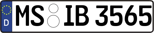 MS-IB3565