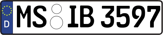 MS-IB3597