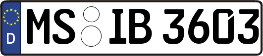 MS-IB3603