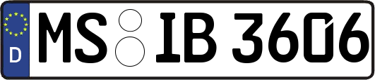 MS-IB3606